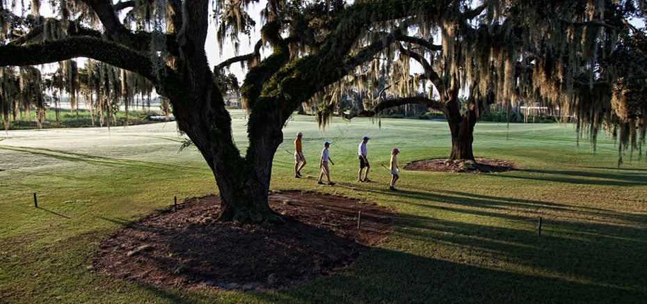 BW-Golf-Tree