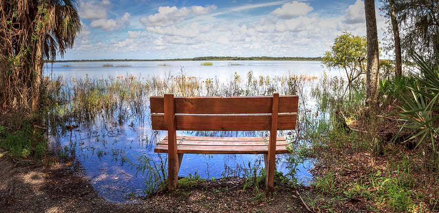 bigstock-Bench-Overlooks-The-Flooded-Sw-371995732