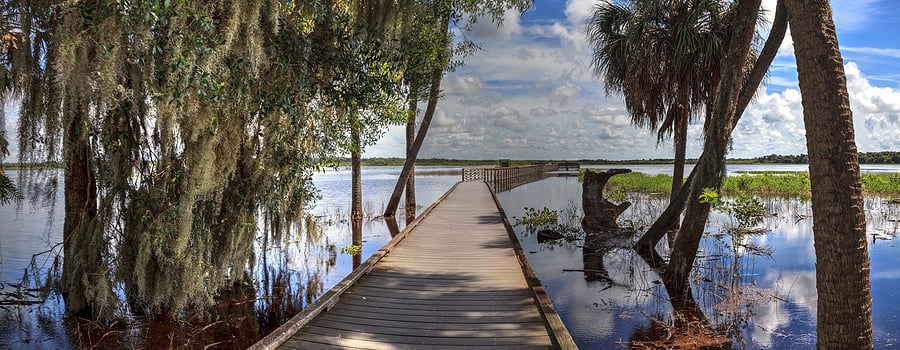 bigstock-Boardwalk-Overlooking-The-Floo-371995753 (1)