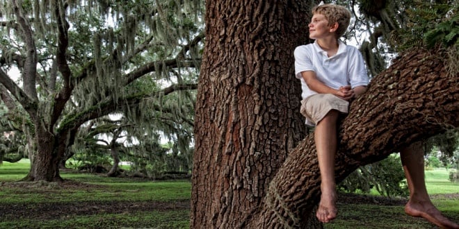 TFC Boy in Tree.jpg