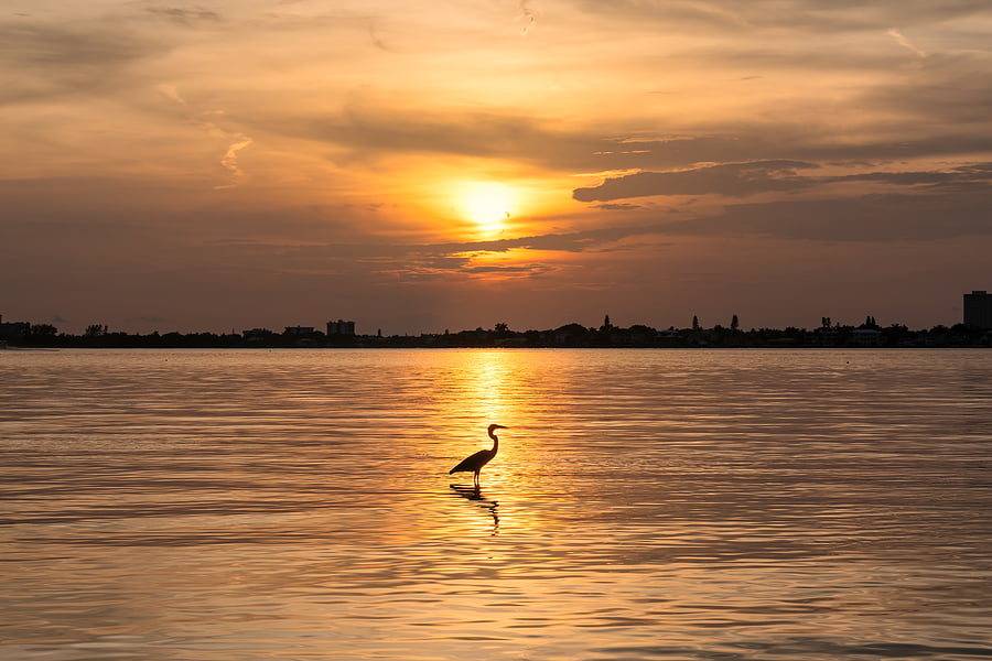 The Best Places to Watch the Sunset in Sarasota, Florida